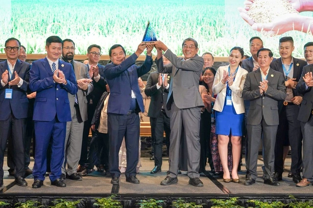 Gạo Việt từ ngon nhất đến 'xanh' nhất thế giới - Ảnh 1