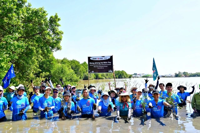 UOB Việt Nam khởi động trồng 10.000 cây rừng phòng hộ Cà Mau - Ảnh 1