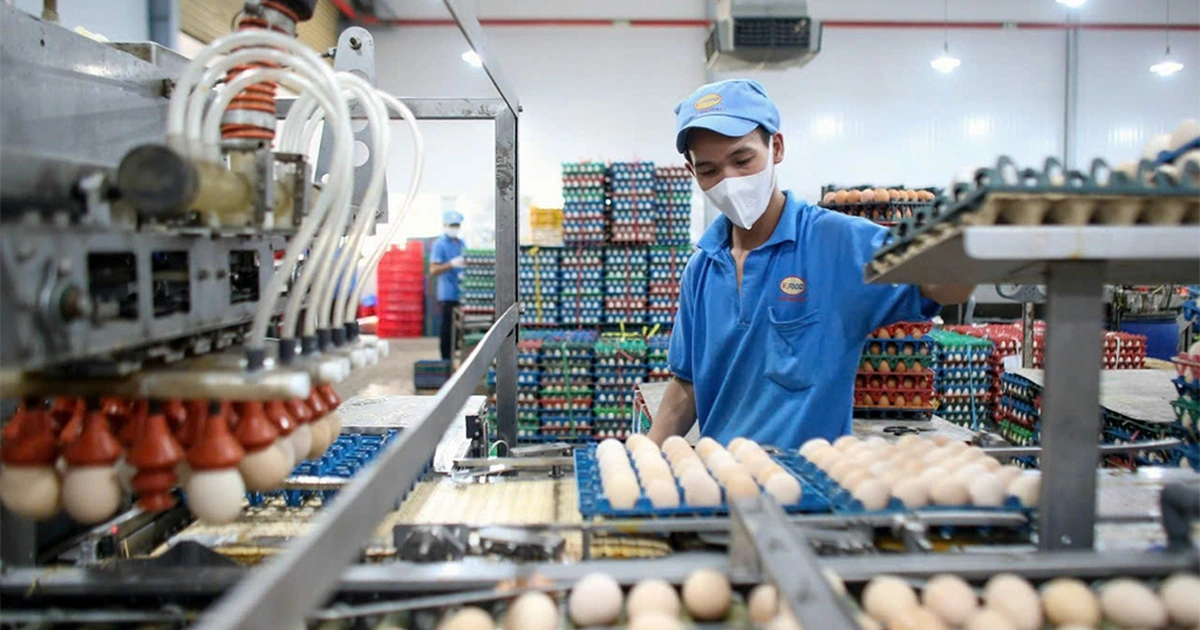 Giá hàng thiết yếu nhấp nhổm tăng