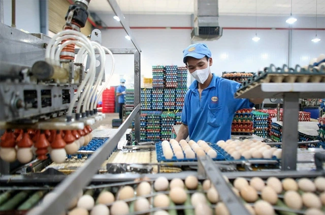 Giá hàng thiết yếu nhấp nhổm tăng - Ảnh 1