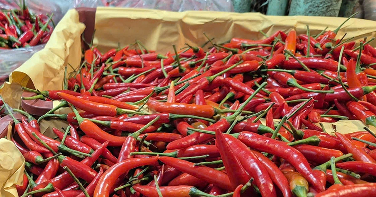 Rau xanh hạ nhiệt, ớt và thanh long sốt giá