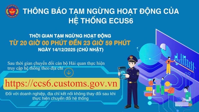 Hỏa tốc thông báo tạm ngừng hệ thống thông quan điện tử - Ảnh 1