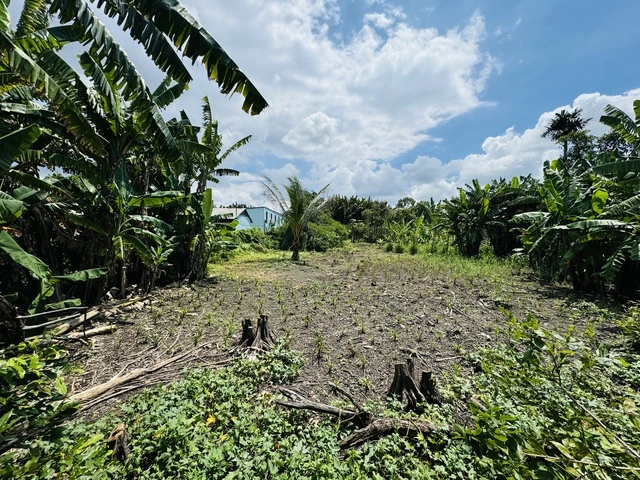 Kiến nghị tăng giá đất nông nghiệp - Ảnh 1