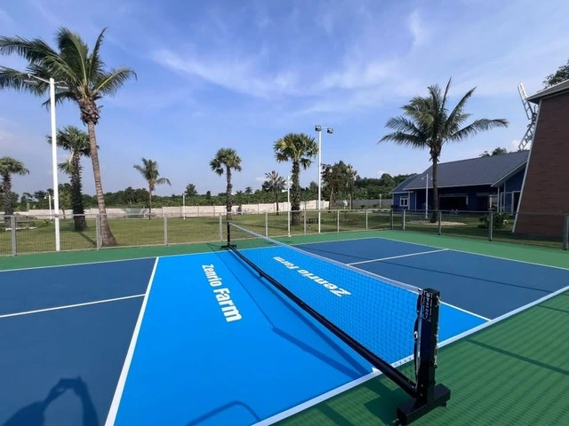 Phường đầu tiên ở TP.HCM cho phép xây tạm sân pickleball trên đất hoang hóa - Ảnh 2