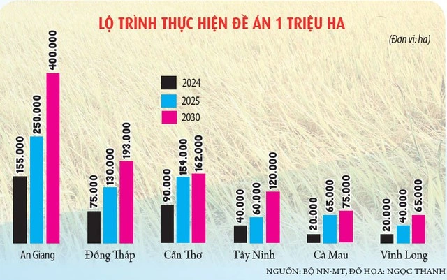 Gạo Việt từ ngon nhất đến 'xanh' nhất thế giới - Ảnh 5