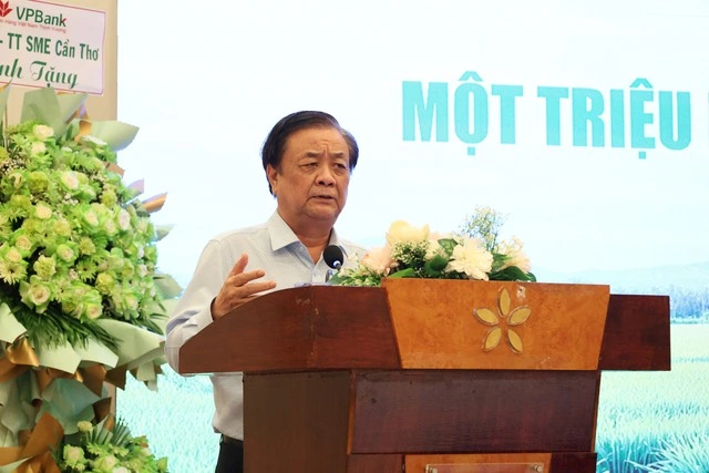 Lúa gạo miền Tây thay đổi tư duy 'làm nhiều' sang 'làm đúng' - Ảnh 1