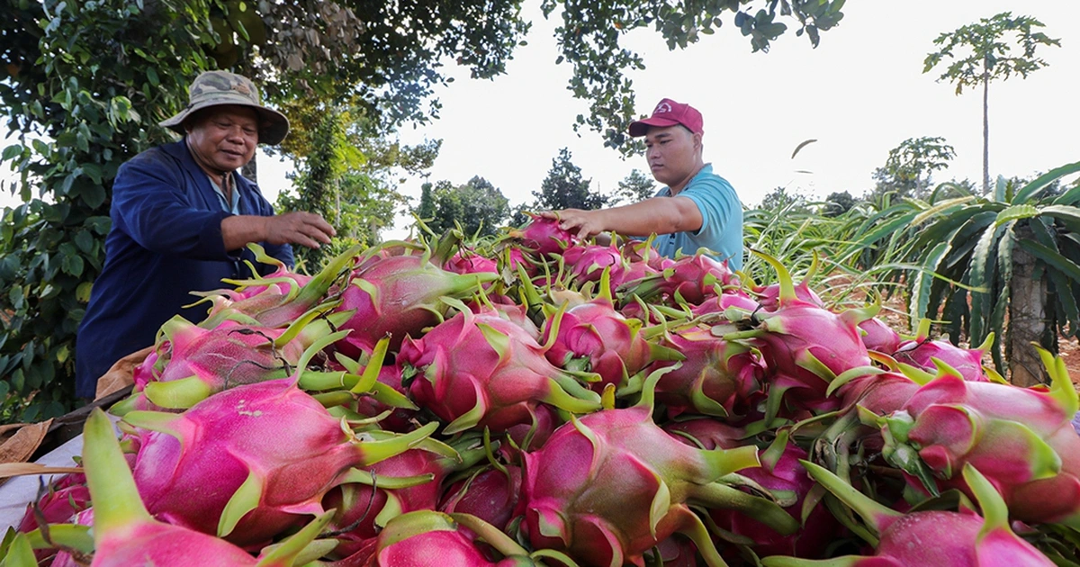 Xuất nhập khẩu lập kỷ lục 920 tỉ USD