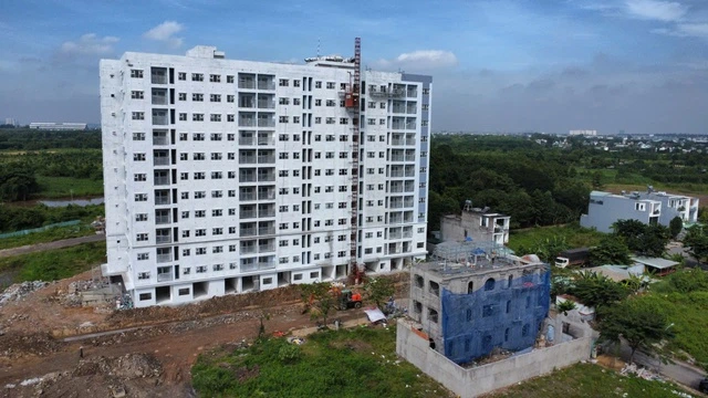 Người độc thân, về hưu mua nhà ở xã hội thế nào? - Ảnh 1