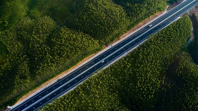 Xuân về sớm trên 3.000 km cao tốc Bắc - Nam - Ảnh 2