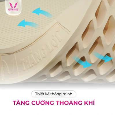 Vì sao nệm cao su thiên nhiên Thắng Lợi là đầu tư hoàn hảo cho sức khỏe? - Ảnh 3