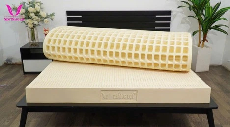 Vì sao nệm cao su thiên nhiên Thắng Lợi là đầu tư hoàn hảo cho sức khỏe? - Ảnh 4