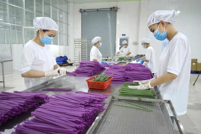 Công ty thực phẩm Hùng Hậu đạt chứng nhận Doanh nghiệp Xanh TP.HCM 2025 - Ảnh 1