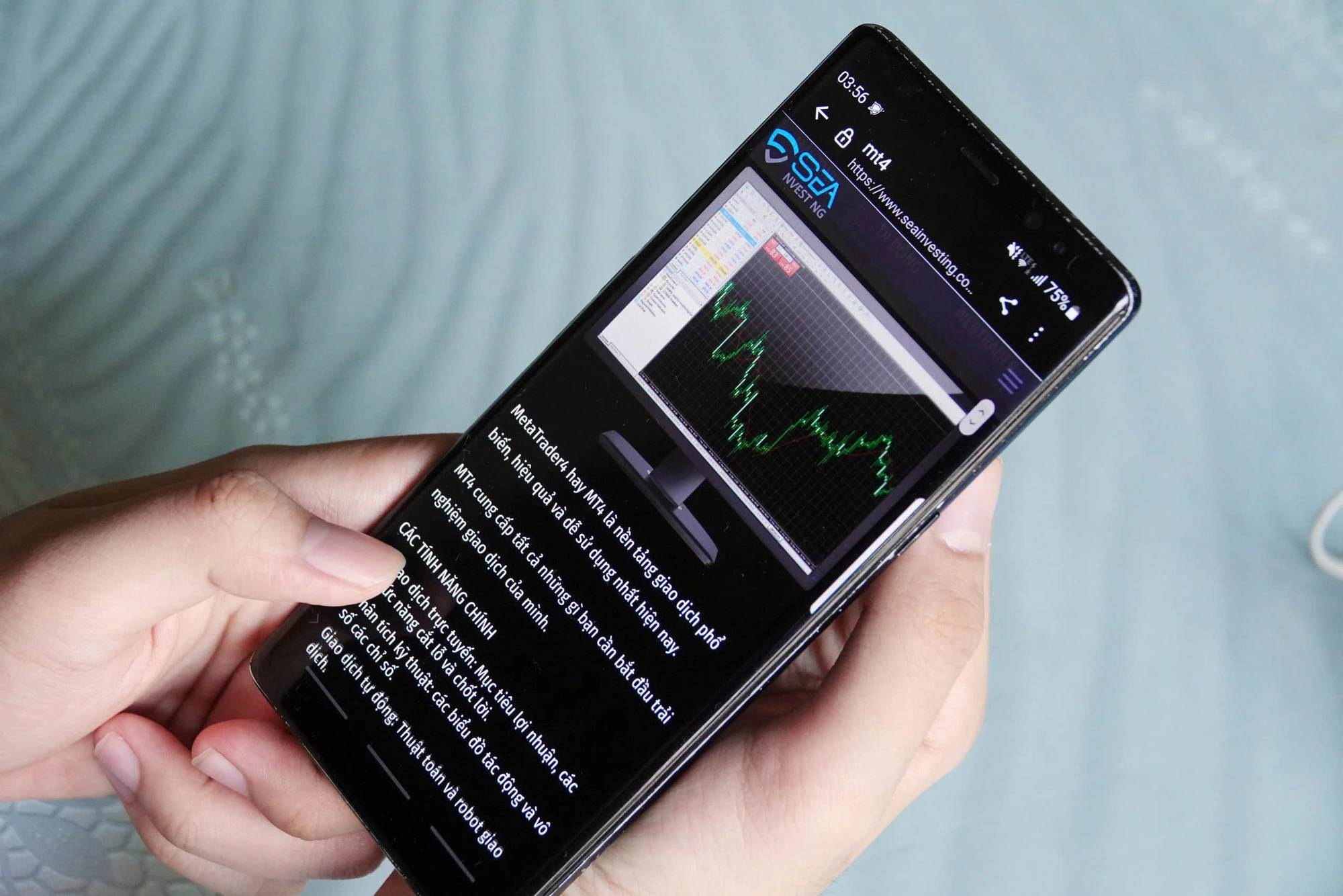 Cuối năm, cảnh giác tội phạm mạng dòm ngó tài khoản ngân hàng - Ảnh 2