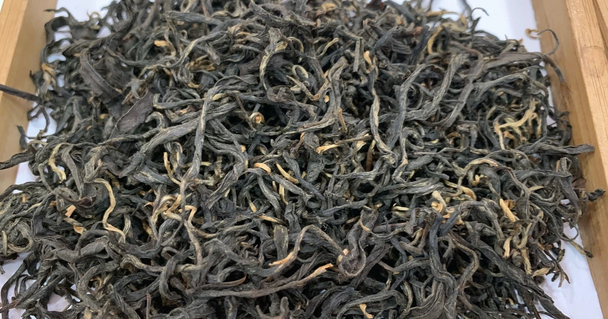 'Giải cứu' 500 container chè xuất khẩu Afghanistan tắc ở cảng Pakistan