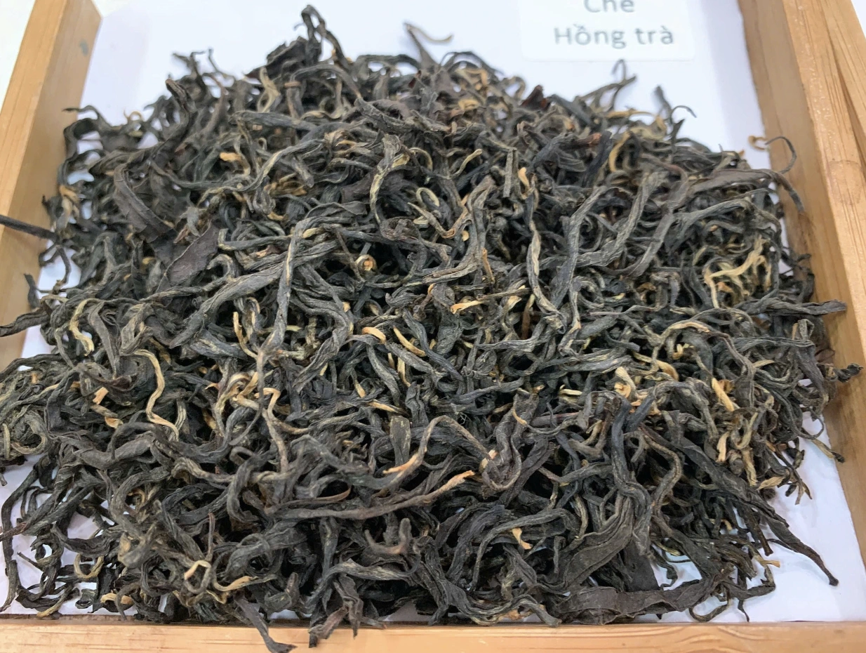 'Giải cứu' 500 container chè xuất khẩu Afghanistan tắc ở cảng Pakistan - Ảnh 1