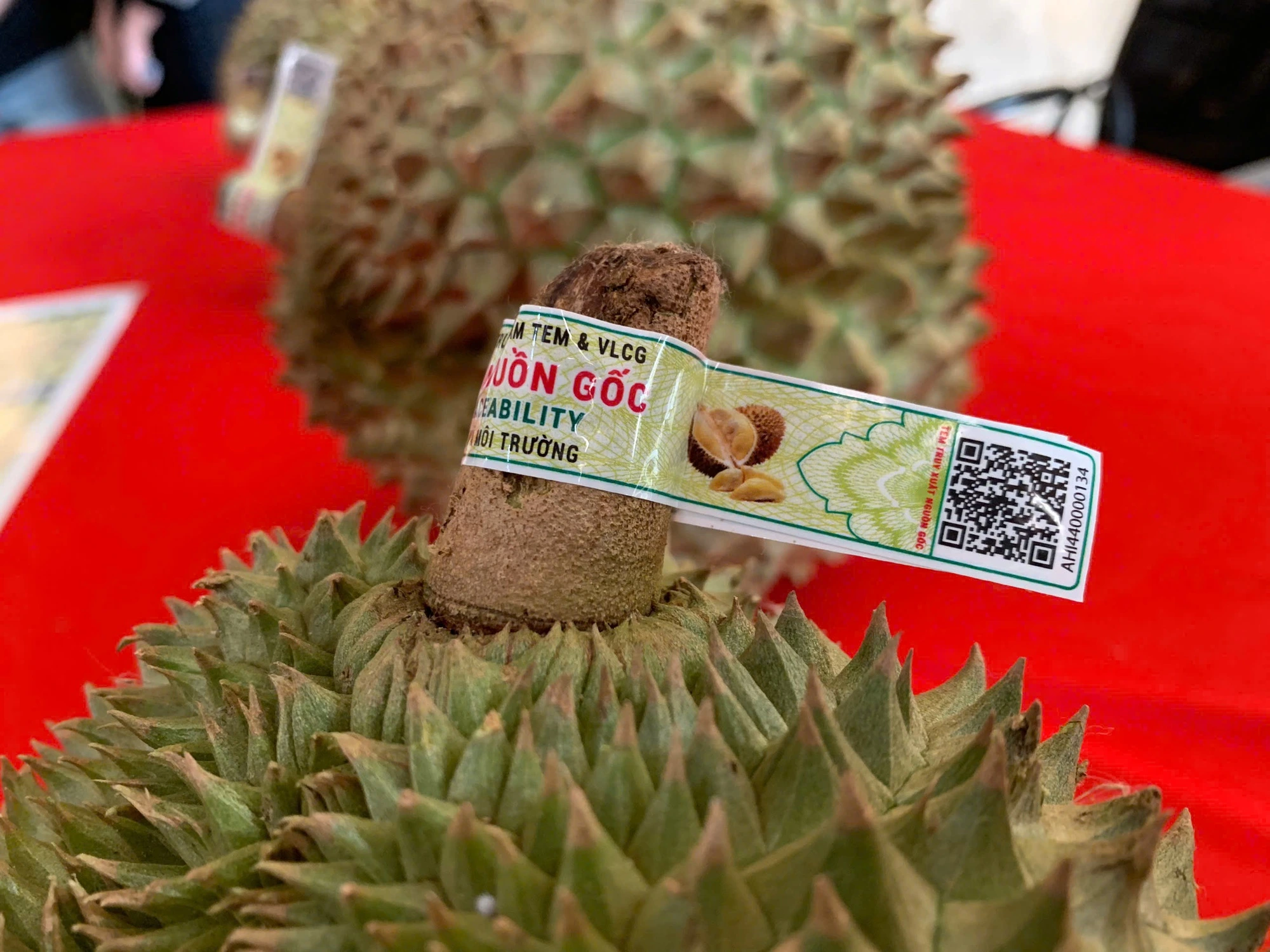 Xuất khẩu sầu riêng lập kỷ lục 4 tỉ USD, chiếm 'ngôi vương' ngành rau quả - Ảnh 1