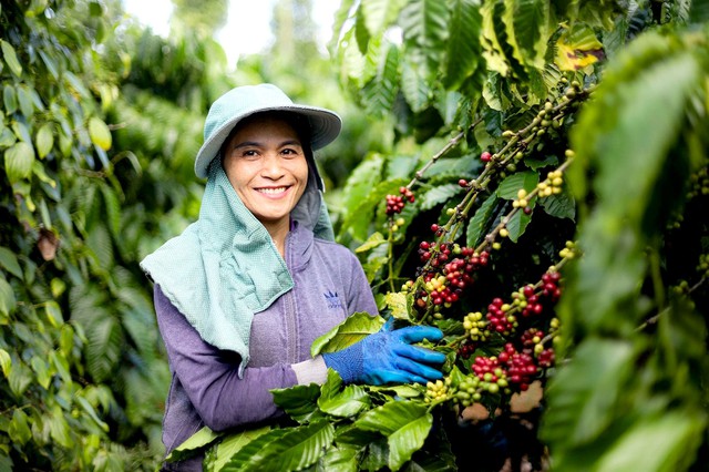 Kinh tế tuần hoàn là động lực chuyển đổi xanh - Ảnh 2