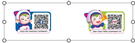 Saigon Co.op và 21 đơn vị thành viên được vinh danh Doanh nghiệp xanh TP.HCM 2025 - Ảnh 4