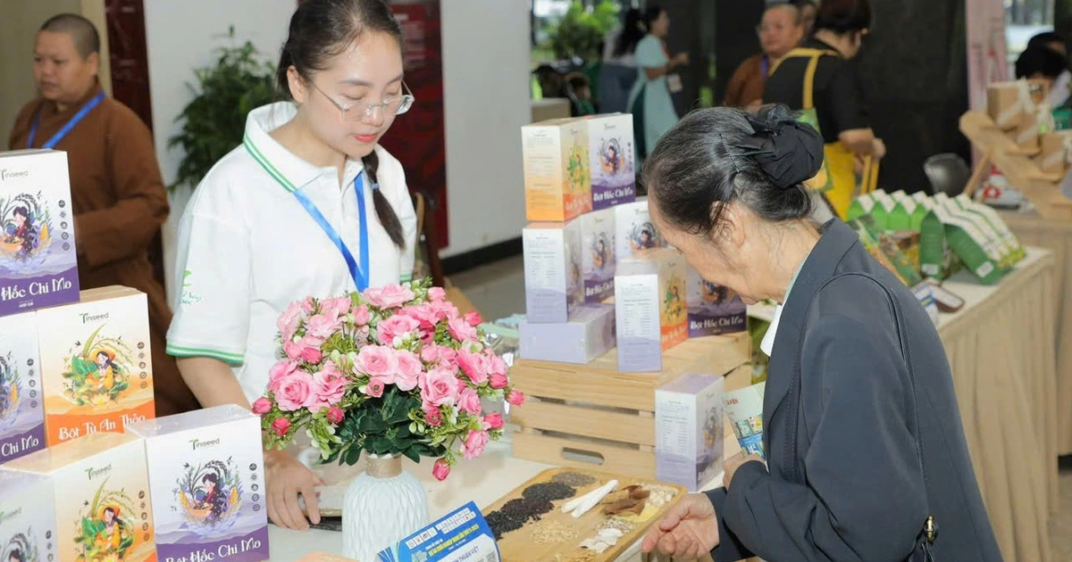 Số doanh nghiệp tăng kỷ lục