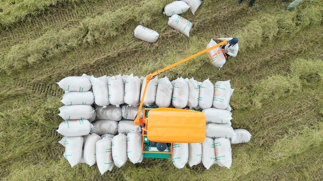 Gạo Việt từ ngon nhất đến 'xanh' nhất thế giới - Ảnh 4