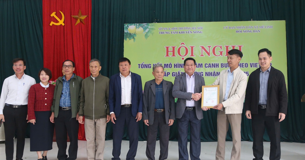 Trao giấy chứng nhận VietGAP cho hộ dân trồng bưởi xã Mê Linh