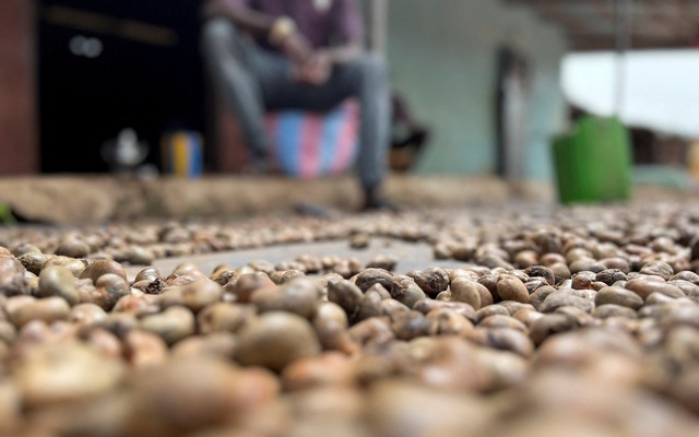 'Sản vật trời ban' của Việt Nam lập kỷ lục chưa từng có, lần đầu gia nhập 'câu lạc bộ 5 tỷ USD' - Ảnh 1