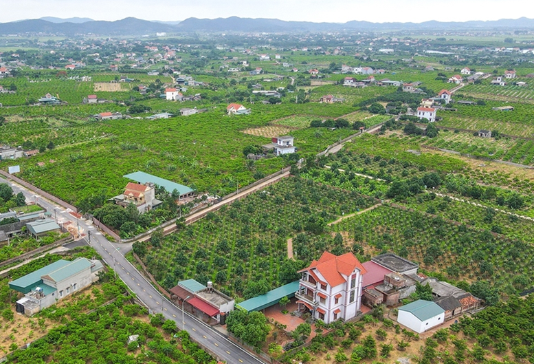 Tháo gỡ vướng mắc các dự án đất đai và triển khai Chương trình mục tiêu quốc gia - Ảnh 1