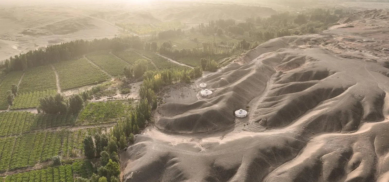 Trung Quốc xây "Vạn Lý Trường Thành" thời hiện đại: Dùng sinh vật tồn tại 3,5 tỷ năm trước hút cạn cả sa mạc - Ảnh 1