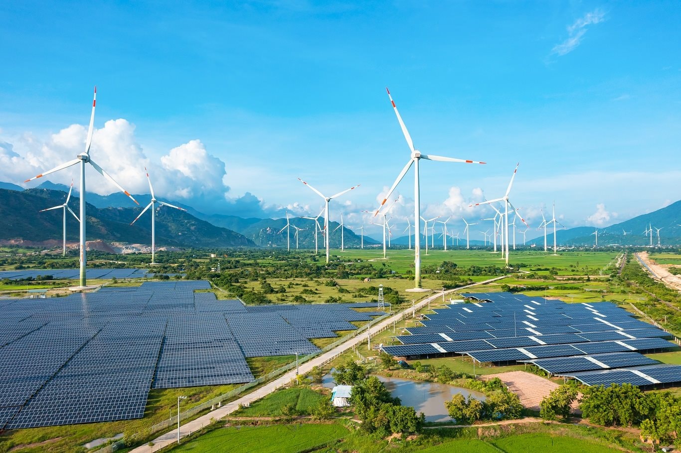 Trung Nam báo tin vui - Ảnh 1