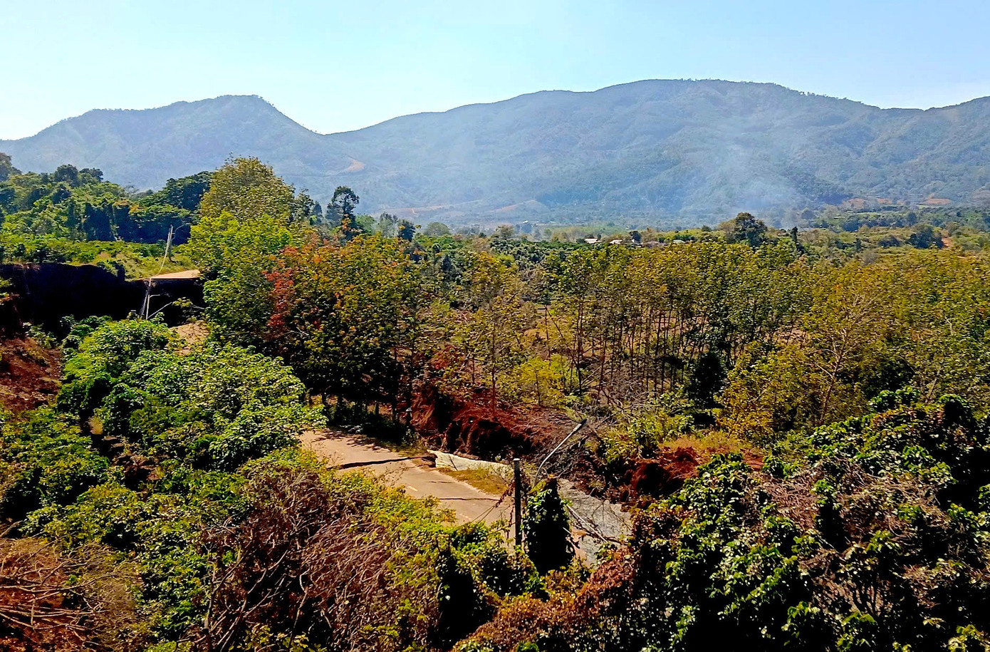 Vì sao nhiều hộ dân ở Gia Lai vẫn cố thủ quanh vực 'tử thần'? - Ảnh 4