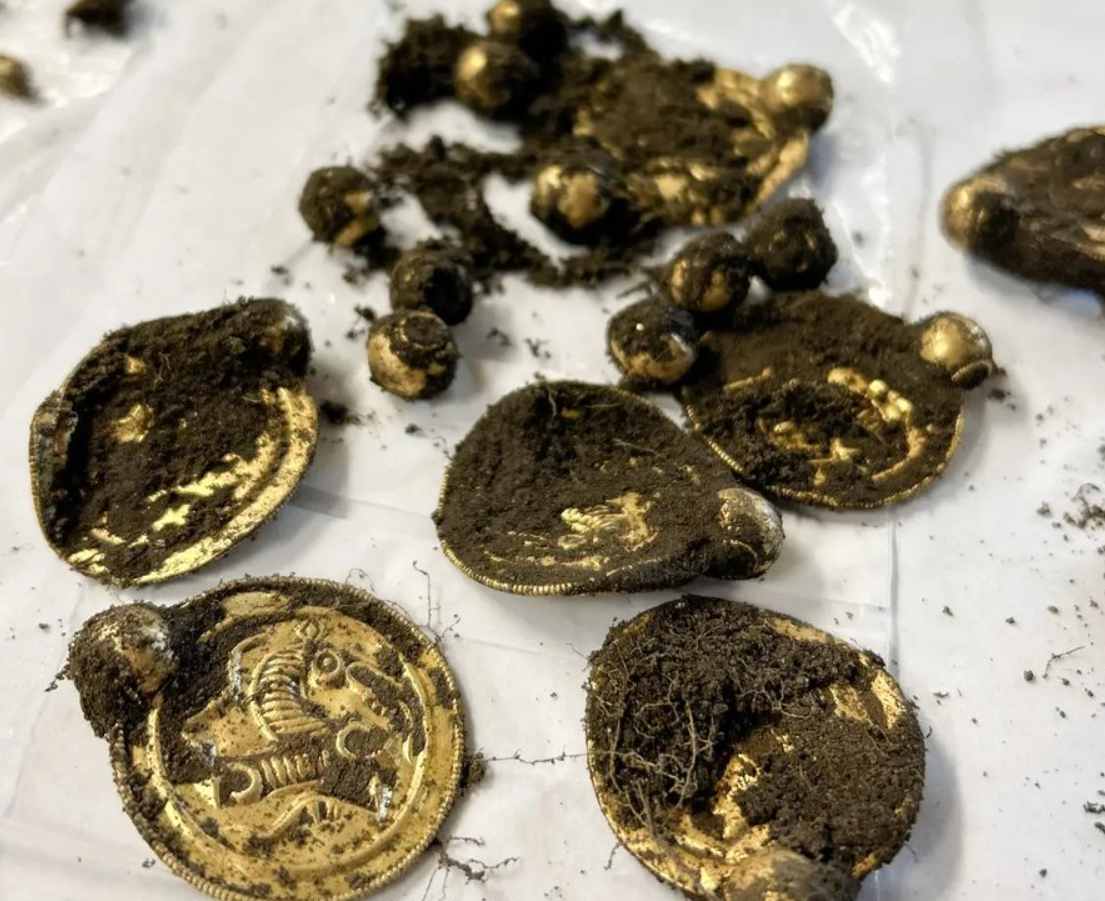 Đang đi chơi, người đàn ông nhặt được "kho báu" vàng - Ảnh 1