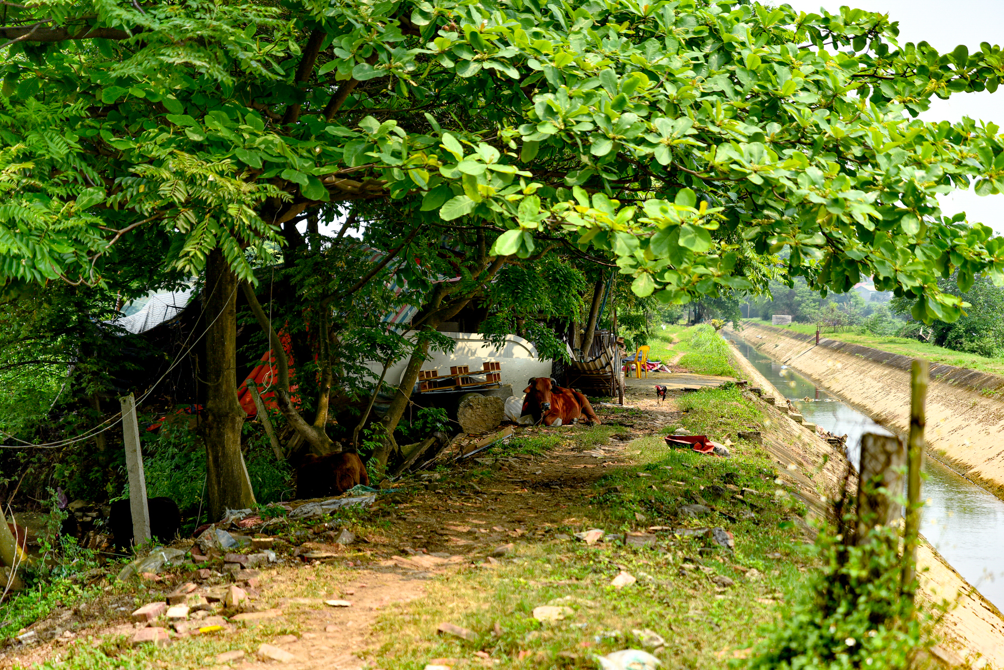 So găng ga đầu và ga cuối tuyến đường sắt cao tốc 67 tỷ USD: Một ga rộng top đầu Đông Nam Á, một ga nằm ở trung tâm mới của TP.HCM - Ảnh 10