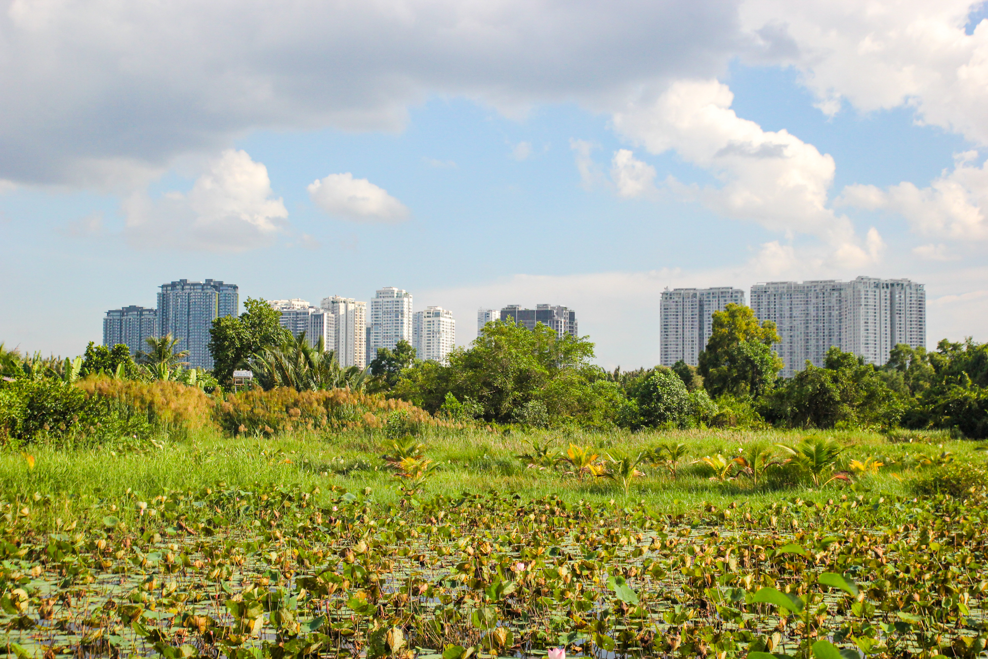 Số phận đối lập của những siêu dự án treo suốt 2 thập kỷ ở TP.HCM: Nơi được Vinhomes, Masterise "đánh thức", chỗ được SunGroup, Gamuda Land "nhòm ngó" - Ảnh 11