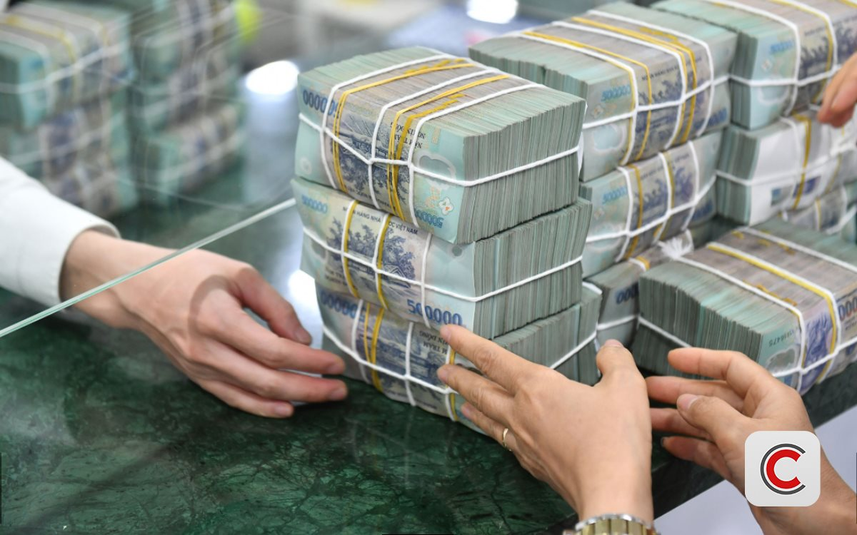 TS. Lê Xuân Nghĩa: Đừng sợ bị gọi là đầu cơ - Ảnh 1