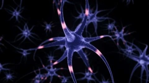 Không còn là phim viễn tưởng, robot hình người giờ đã biết đau, phản xạ như con người - các nhà khoa học đã làm gì? - Ảnh 2