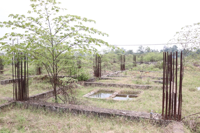 Nhiều năm "đắp chiếu", dự án BĐS ở Đà Nẵng gây bức xúc - Ảnh 5