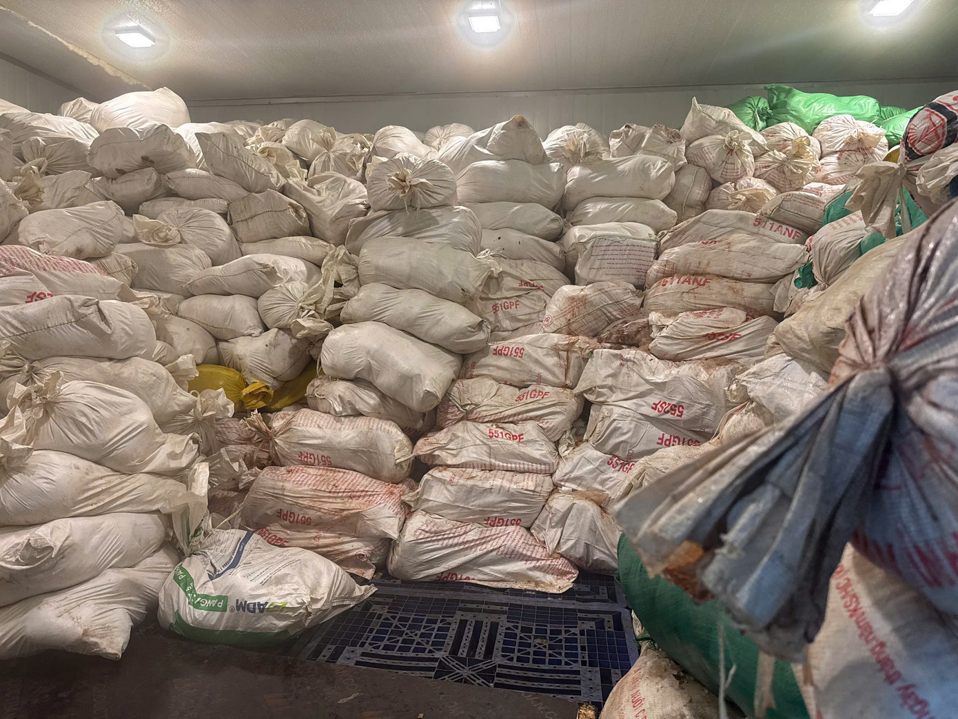 Hà Nội: Thu giữ hơn 60 tấn lòng lợn không rõ nguồn gốc tại kho đông lạnh - Ảnh 1