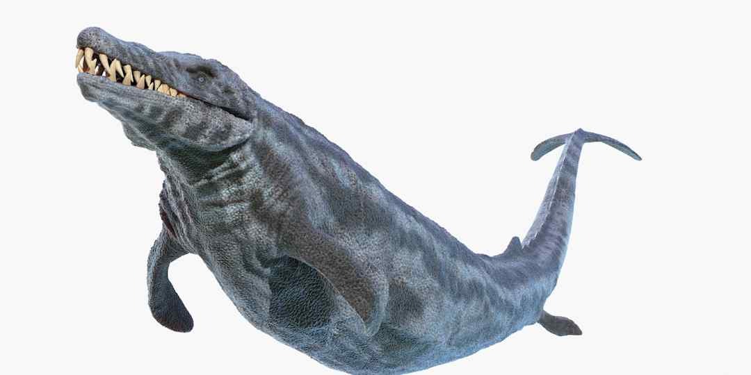 Thung lũng cá voi ở Ai Cập hé lộ hành trình tiến hóa kỳ lạ khi cá voi từng có chân và sống trên đất liền - Ảnh 2