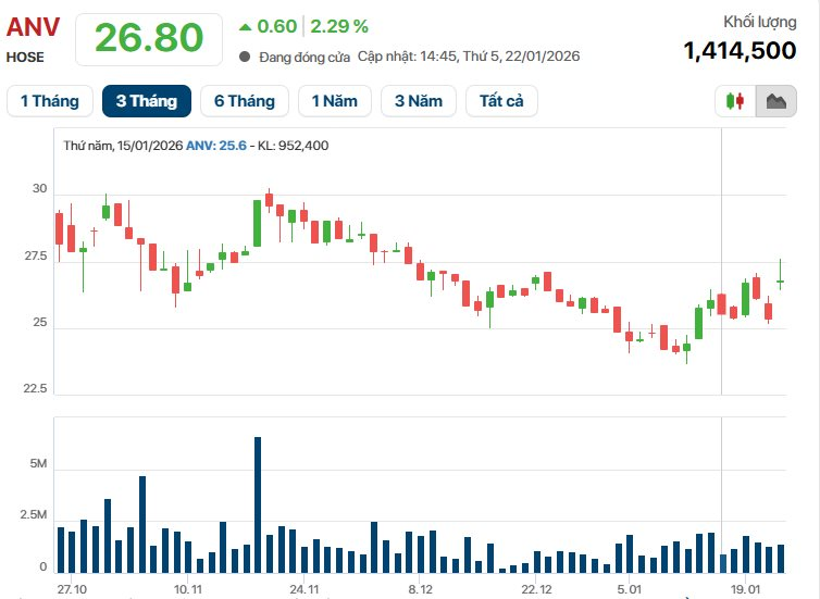 Bán cá rô phi số 1 Việt Nam, doanh nghiệp báo lãi 1.000 tỷ, gấp 21 lần năm trước - Ảnh 2