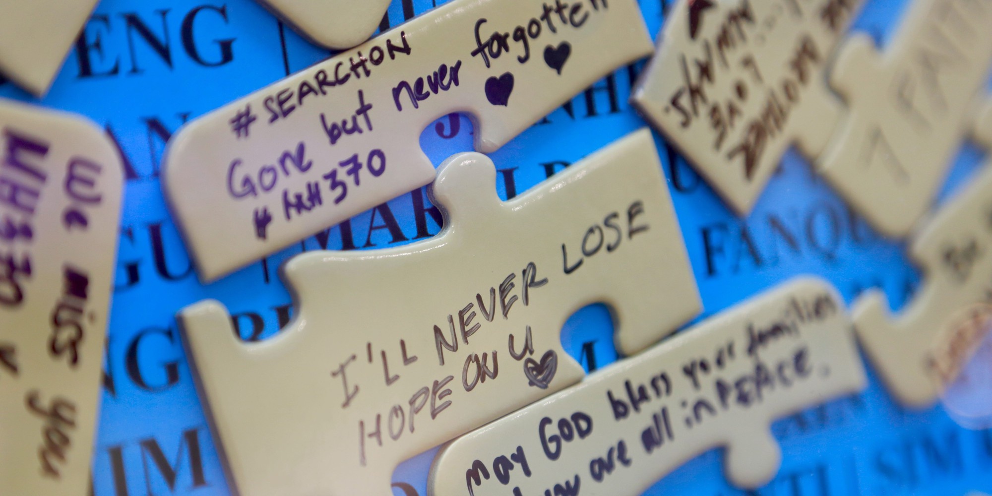 Malaysia tiếp tục tìm kiếm MH370 sau gần 12 năm - Ảnh 1