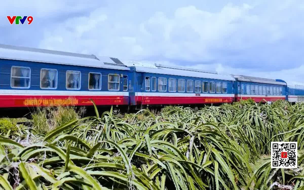 Đề xuất đầu tư để cải tạo đường sắt Hà Nội - TP. Hồ Chí Minh - Ảnh 1