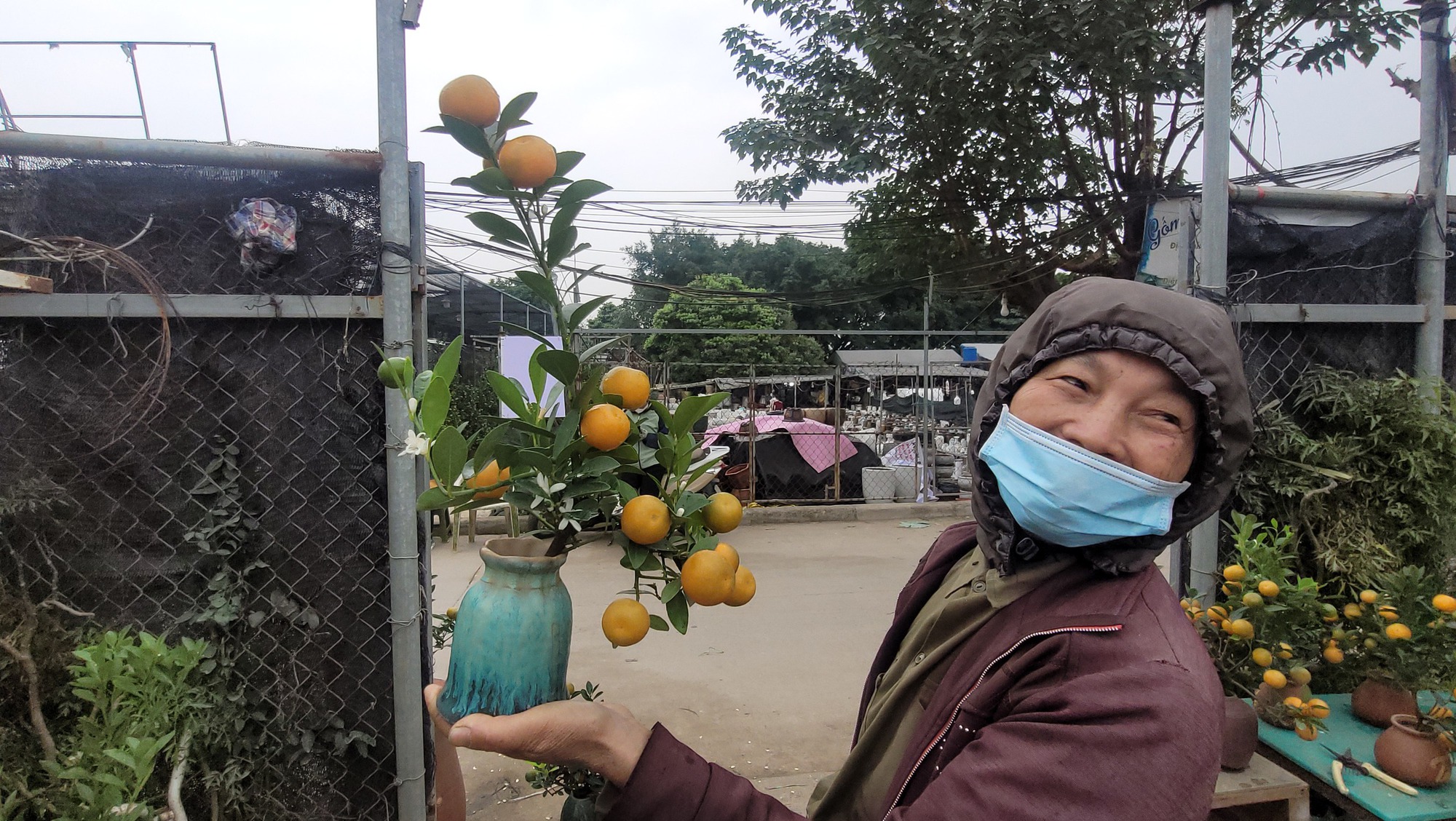 Quất bonsai mini giá vài trăm ngàn đồng mỗi bình - Ảnh 1