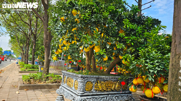 Bưởi Diễn 'đổ bộ' vào Nam sớm, giá tăng mạnh trước Tết - Ảnh 7