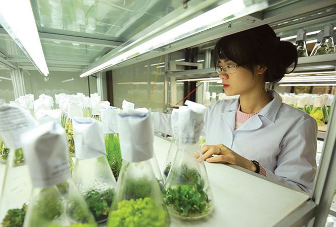 Việt Nam tìm động lực tăng trưởng từ tái cấu trúc chuỗi cung ứng toàn cầu - Ảnh 2