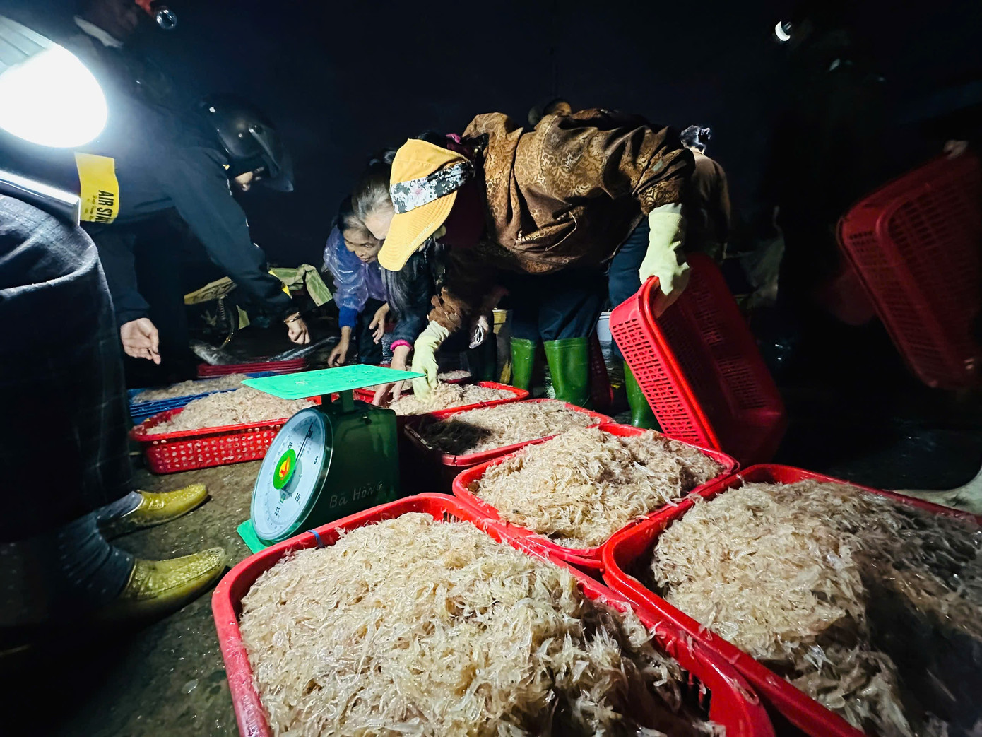 Ngư dân Hà Tĩnh trúng đậm ‘lộc biển’, thu tiền triệu mỗi ngày - Ảnh 11