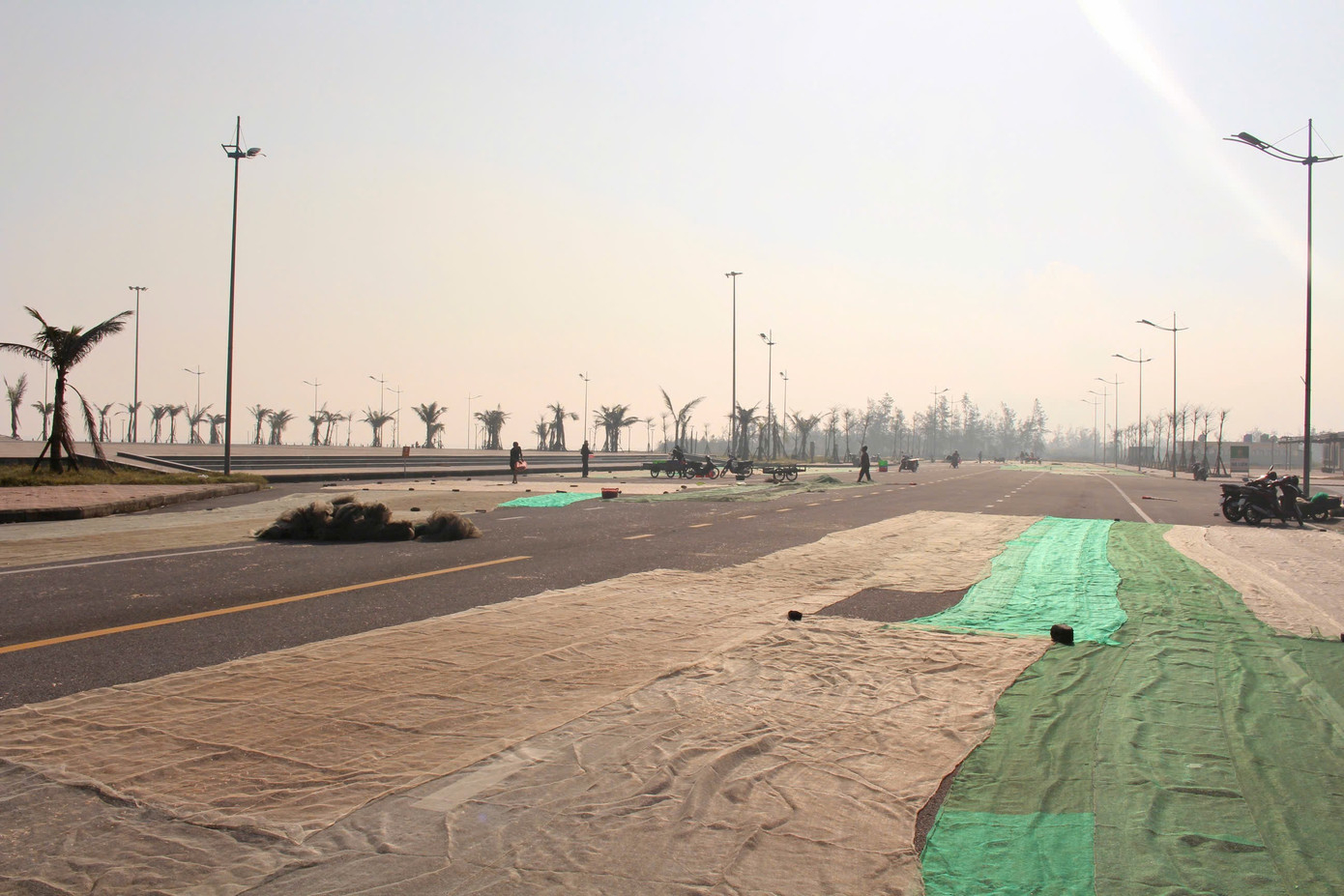 Ngư dân Hà Tĩnh trúng đậm ‘lộc biển’, thu tiền triệu mỗi ngày - Ảnh 4