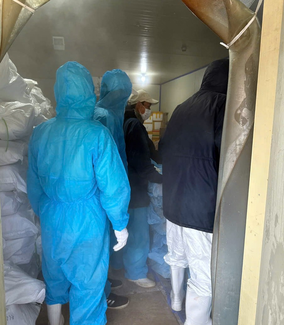 Nóng: Tiêu hủy gần 14.000 hộp 'patê cột đèn' làm từ thịt lợn bệnh - Ảnh 1