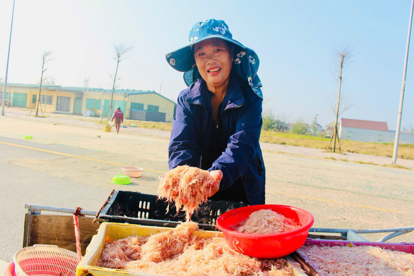 Ngư dân Hà Tĩnh trúng đậm ‘lộc biển’, thu tiền triệu mỗi ngày - Ảnh 2