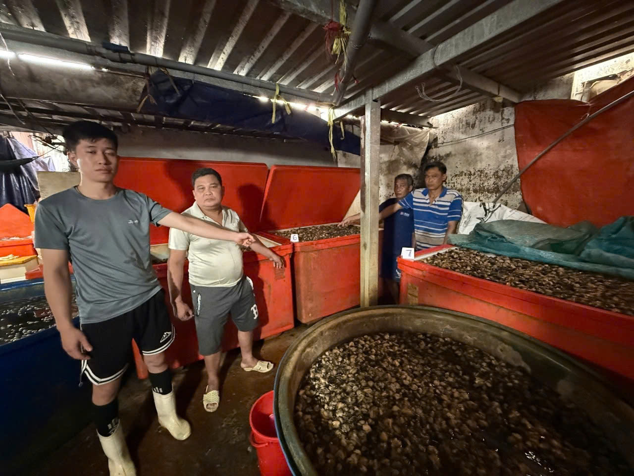 Công an TPHCM công bố hình ảnh bên trong cơ sở ngâm ốc bươu bằng hoá chất - Ảnh 4