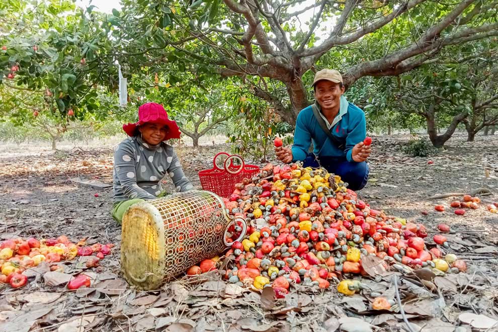 Campuchia 'bán thô vẫn giàu', doanh thu 1,5 tỷ USD: Việt Nam là điểm đến số 1 - Ảnh 2